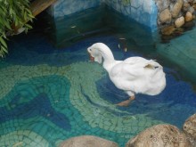 прогулка по новой территории