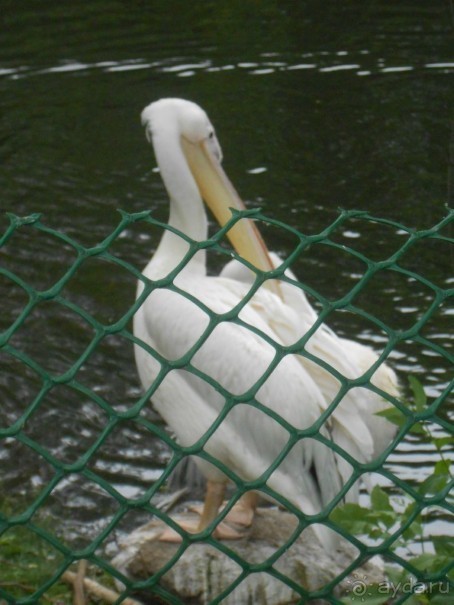 прогулка по новой территории