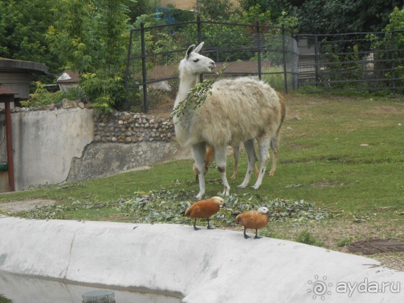 прогулка по новой территории