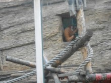 прогулка по новой территории