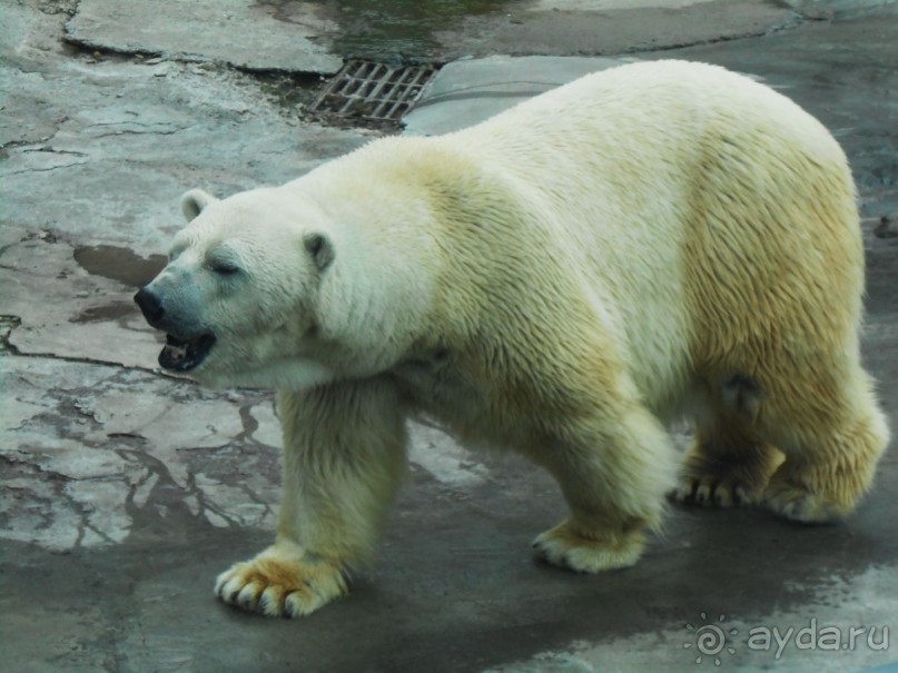 прогулка по новой территории