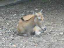 прогулка по новой территории