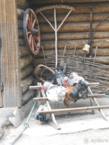 прогулка по новой территории