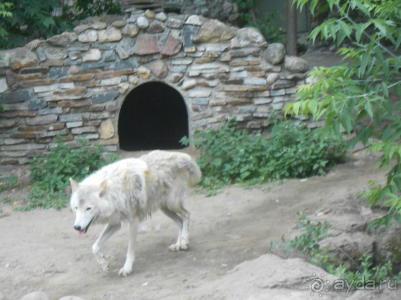 прогулка по новой территории