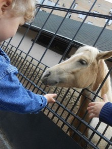 прогулка по новой территории