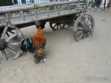 прогулка по новой территории