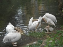 прогулка по новой территории