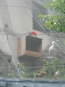 прогулка по новой территории