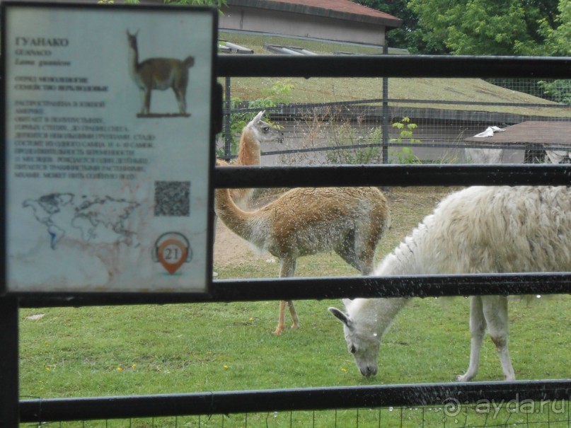 прогулка по новой территории прогулка по новой территории