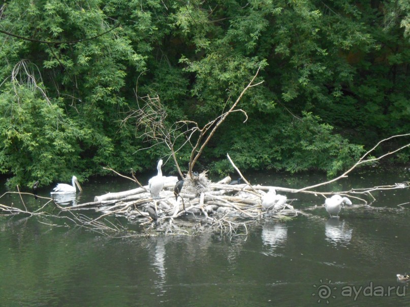 прогулка по новой территории прогулка по новой территории