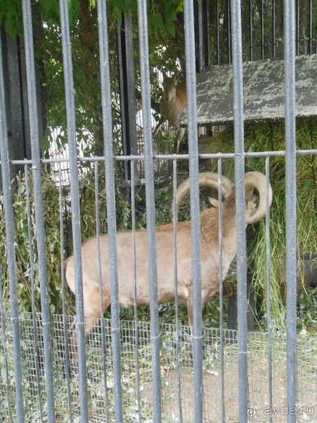 прогулка по новой территории прогулка по новой территории