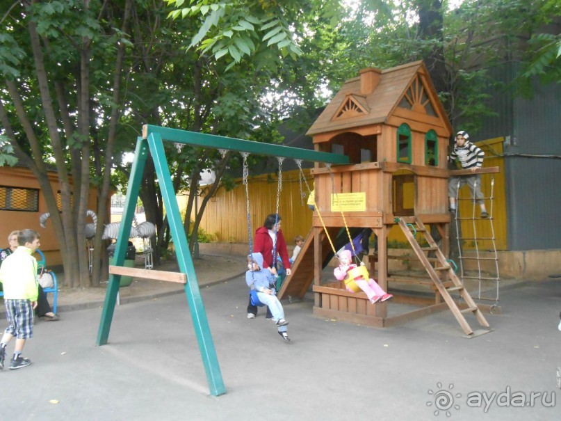 прогулка по новой территории прогулка по новой территории