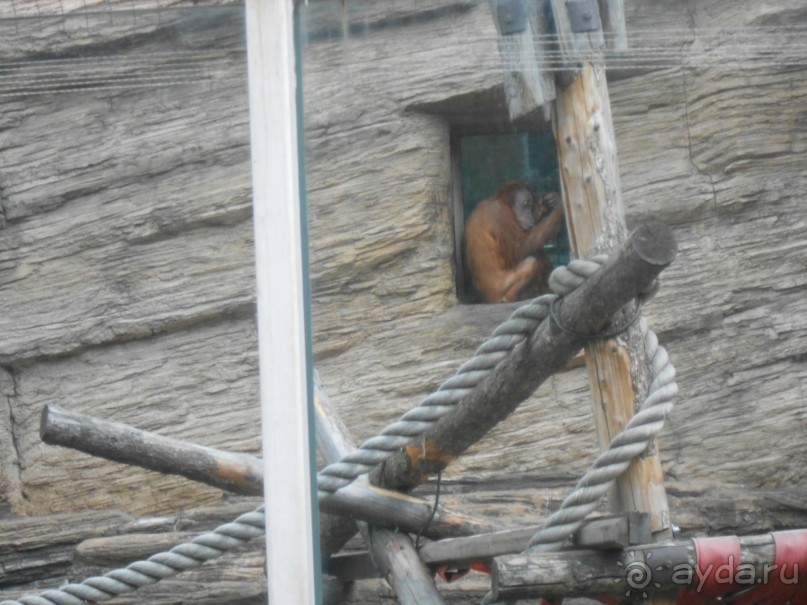 прогулка по новой территории прогулка по новой территории