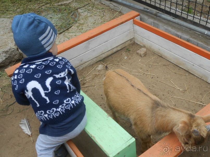 прогулка по новой территории прогулка по новой территории