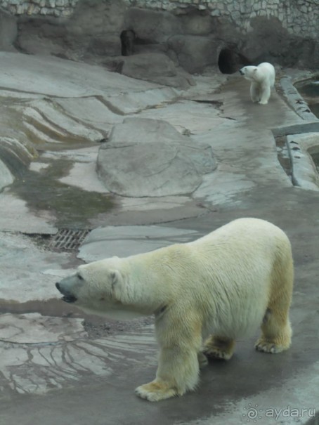 прогулка по новой территории прогулка по новой территории