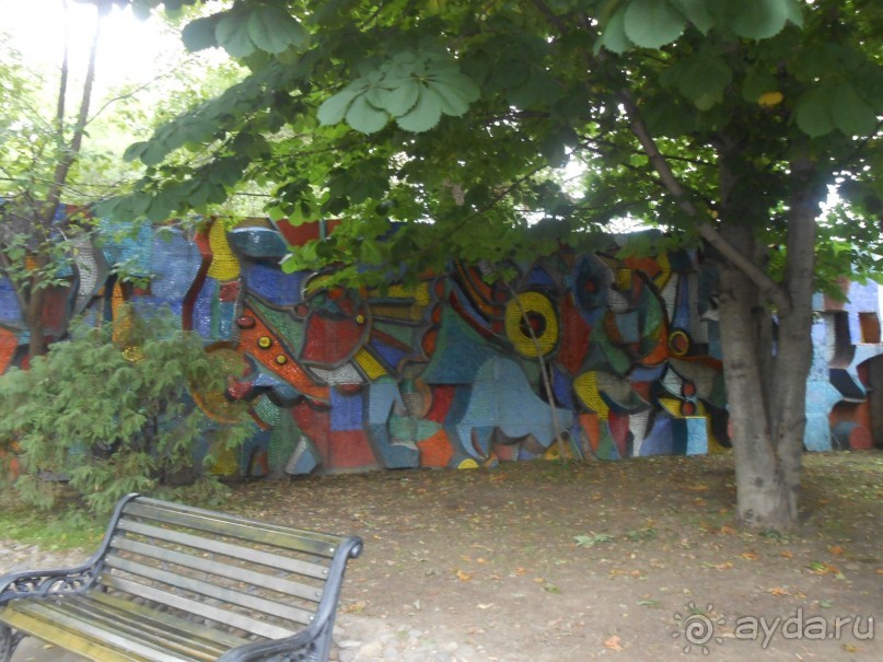 прогулка по новой территории прогулка по новой территории