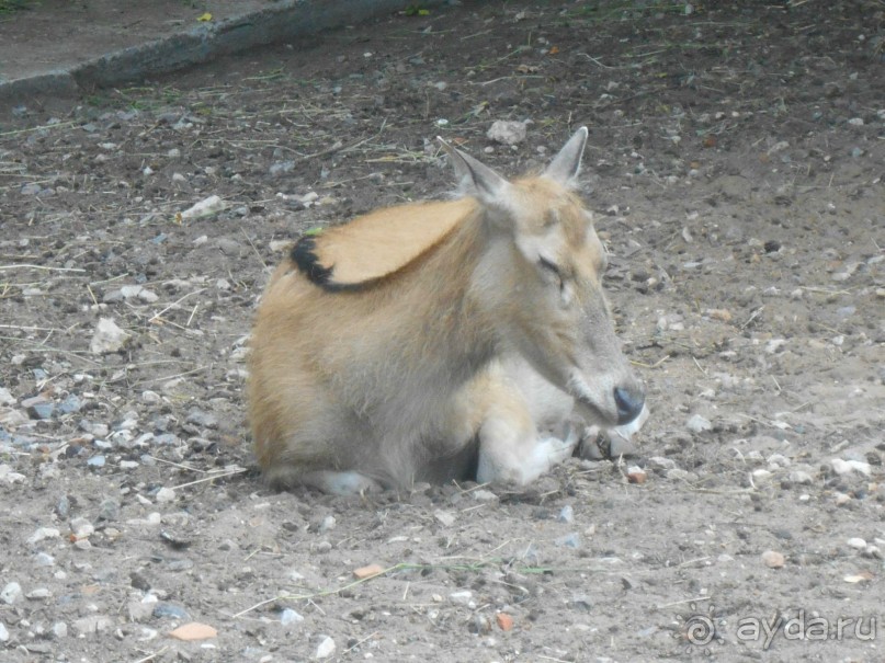 прогулка по новой территории прогулка по новой территории