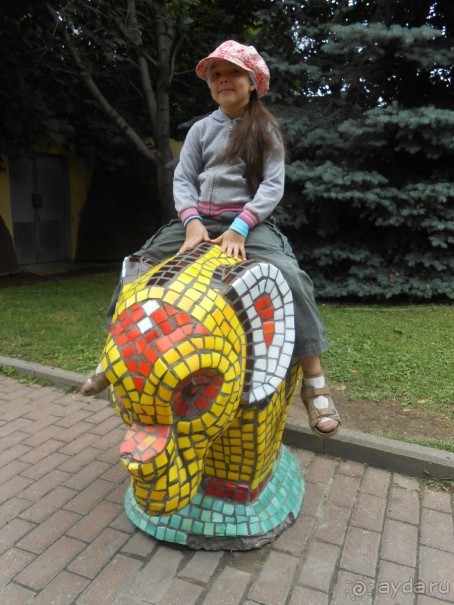 прогулка по новой территории прогулка по новой территории