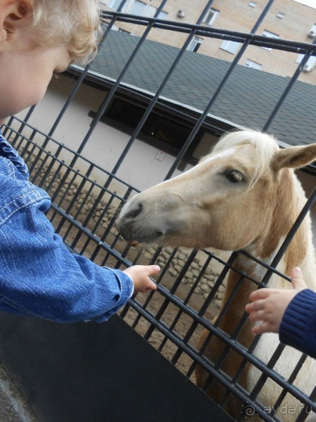 прогулка по новой территории прогулка по новой территории