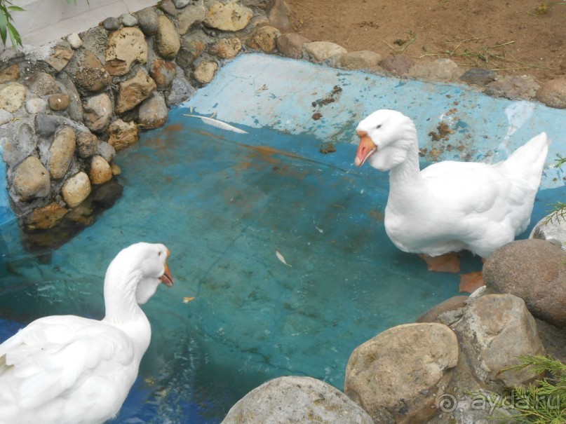 прогулка по новой территории прогулка по новой территории