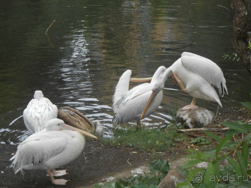 прогулка по новой территории прогулка по новой территории