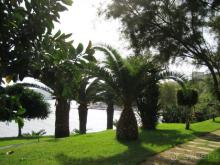 Mellieha Bay 2007 - 2013