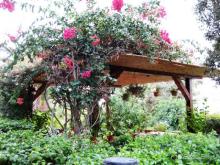 Mellieha Bay 2007 - 2013