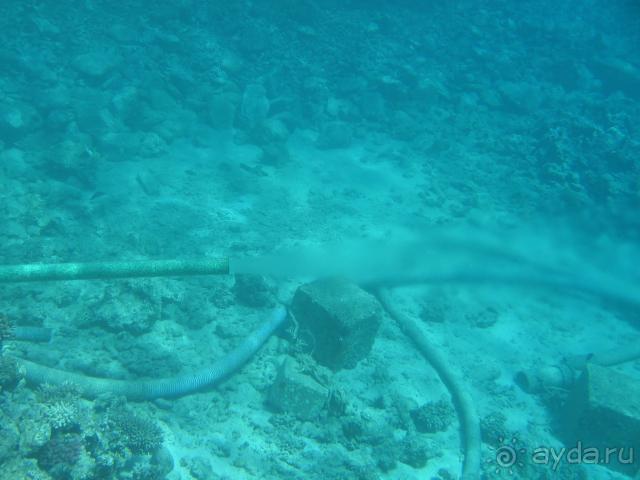 Отстойник для русских туристов