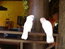 фото Punta Cana Princess All Suites Resort & SPA