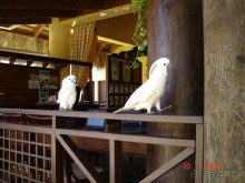 фото Punta Cana Princess All Suites Resort & SPA