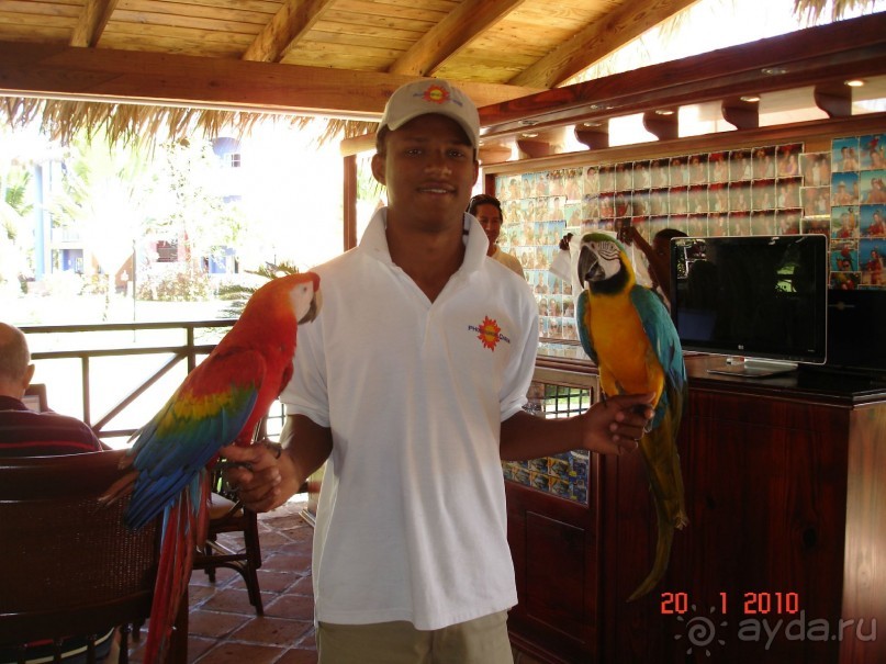 Паренек с попугаями возле интернет-уголка.