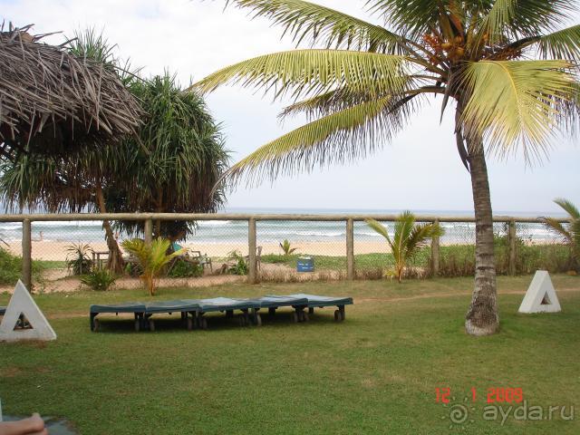 фото Centara Ceysands Resort & Spa Sri Lanka