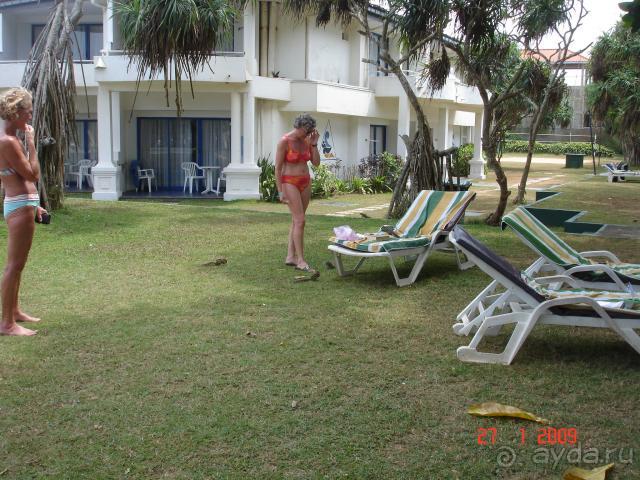 фото Centara Ceysands Resort & Spa Sri Lanka