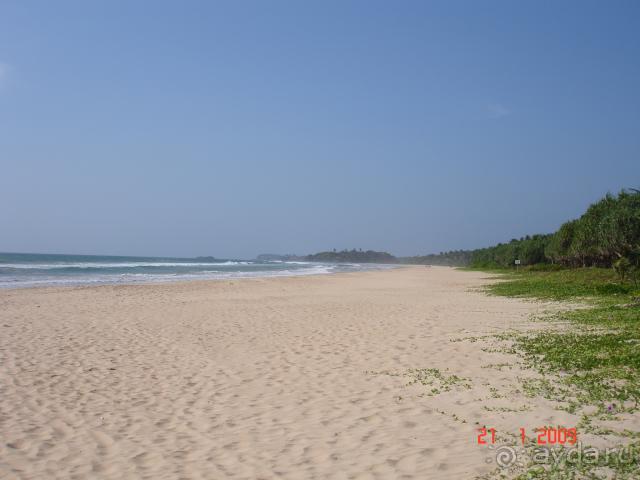 фото Centara Ceysands Resort & Spa Sri Lanka