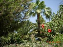 Хороший отель с красивой территорией