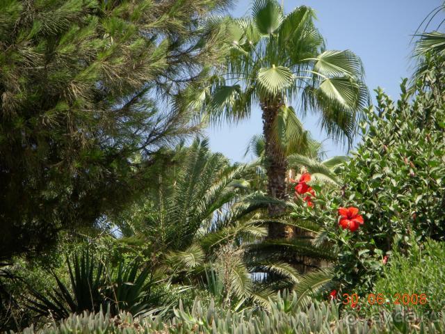 Хороший отель с красивой территорией