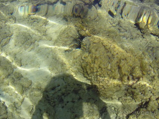 фото Jasmine Village