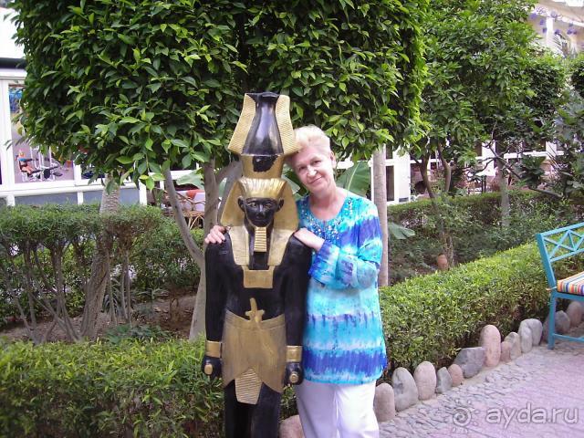 фото Bella Vista Resort