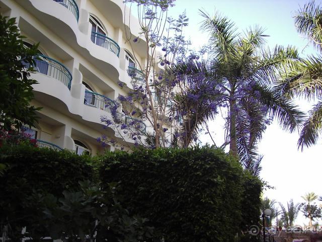 фото Bella Vista Resort