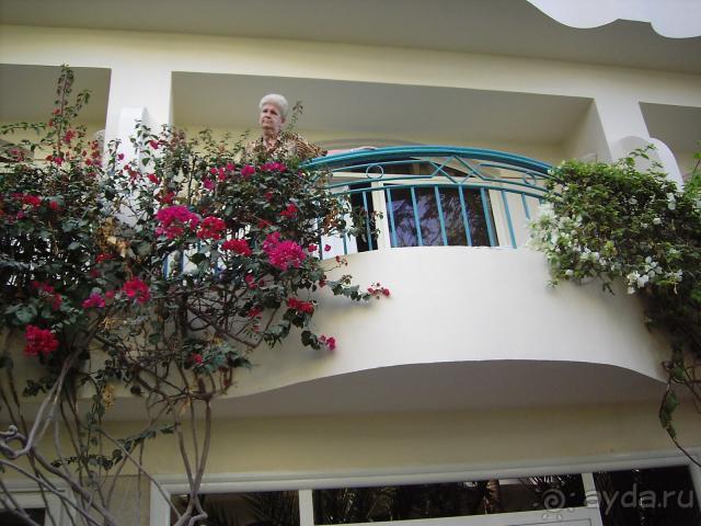 фото Bella Vista Resort