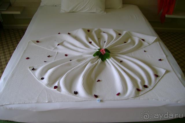 фото  Hotel Ambiente