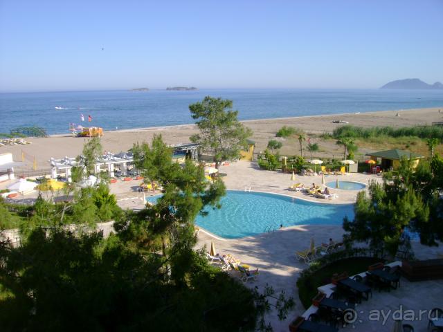 фото  Hotel Ambiente