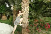 фото Sunrise Diamond Beach Resort 