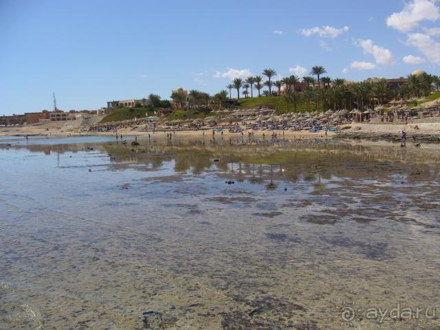 Приоритет итальянцам, выкидывают в другие отели.