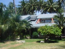 Настоящий релакс в кокосовой роще!