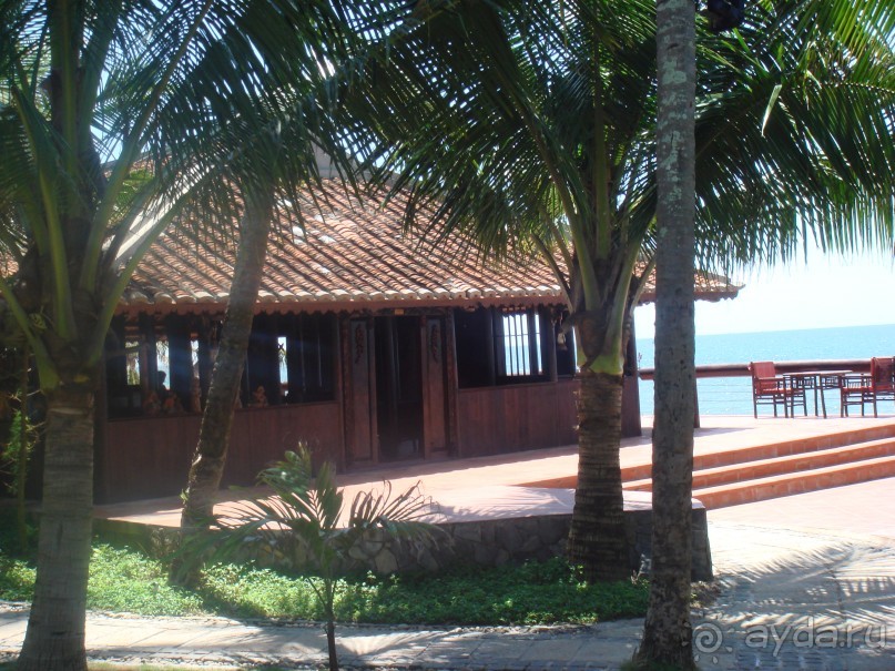 Настоящий релакс в кокосовой роще!