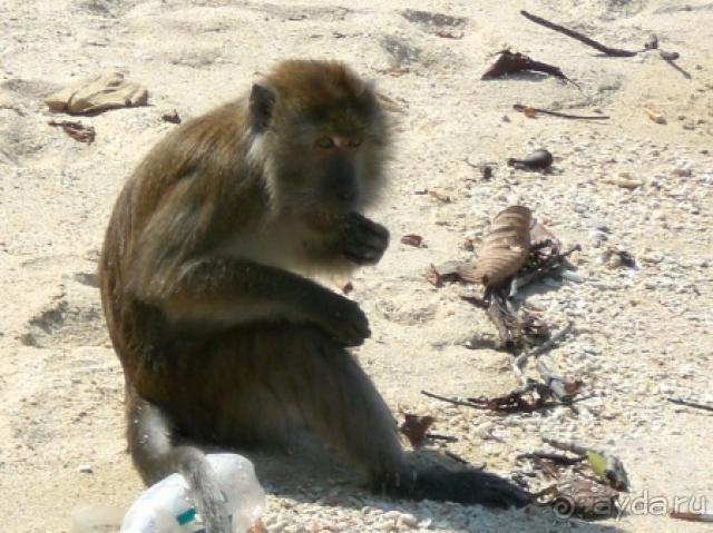 фото Шератон