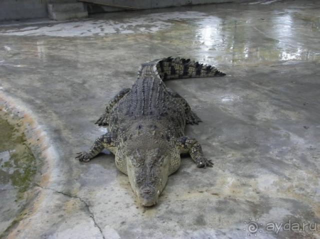 фото Шератон