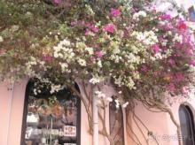 Отлично отдохнули 