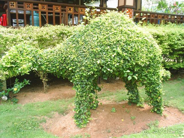 По одежке протягивайте ножки